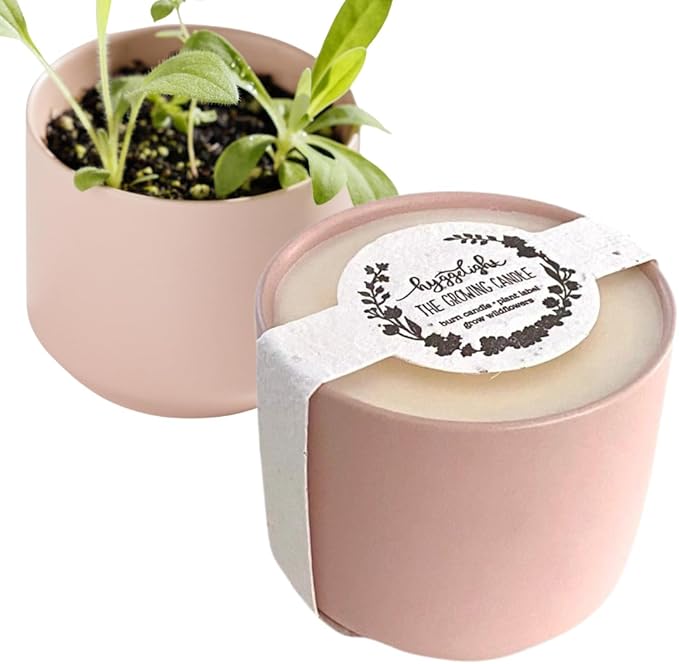 Hyggelight - The Growing Candle, Wild Flower Scented, 8oz Ceramic Pot, Single Wick Aromatherapy Candles, 100% Soy for Women and Men, Adelyn