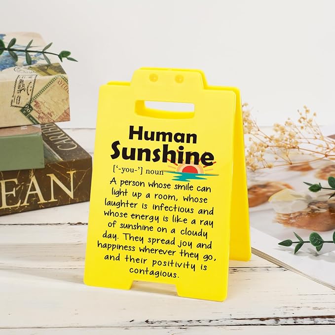 MBL Appreciation Sunshine Gifts Coworker - Human Sunshine Desk Sign, Thoughtful Thank You Gifts for Women Boss Lady Teacher Friend Birthday Christmas White Elephant, Office Cubicle Decor Sign