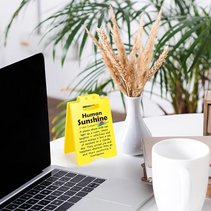 MBL Appreciation Sunshine Gifts Coworker - Human Sunshine Desk Sign, Thoughtful Thank You Gifts for Women Boss Lady Teacher Friend Birthday Christmas White Elephant, Office Cubicle Decor Sign