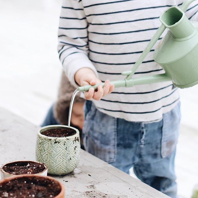 Hyggelight - The Growing Candle, Chai Scented, 10oz Ceramic Pot, Aromatherapy Candles for Home, 100% Soy, Ida