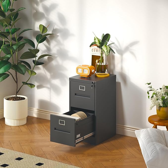 2 Drawer File Cabinet with Lock and Card Slot, Vertical Metal Filing Cabinet for Home Office Under Desk Storage for A4 Legal/Letter Folders,Silent Sliding Drawers, Assembly Required (Black)