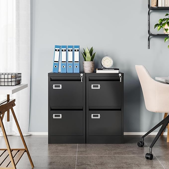 MIIIKO2 Drawer File Cabinet, Metal Vertical Filing Cabinets with Lock, Office File Folders Storage Cabinet for Letter Legal A4 Size