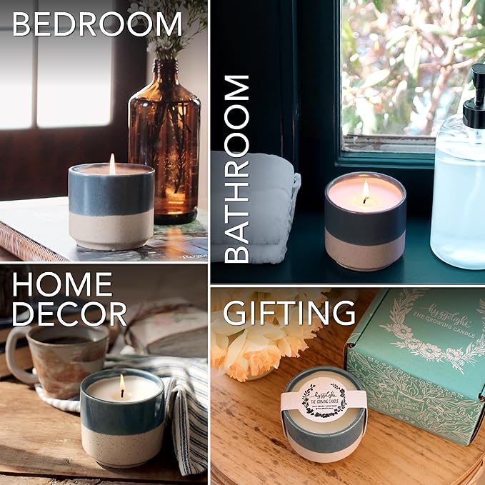 Hyggelight - The Growing Candle, Coffee Scented, 8.5oz Ceramic Pot, Aromatherapy Candles, 100% Soy, Cream and Espresso Aroma for Home, Willow