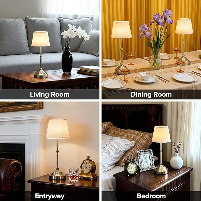2 Pack Cordless Table Lamp, Rechargeable Desk Lamp with Fabric Shade, Battery Operated Lamp 3 Color Stepless Dimming, Small Touch Bedside Lamp Home Decor for Dining, Counter (Brushed Sliver)