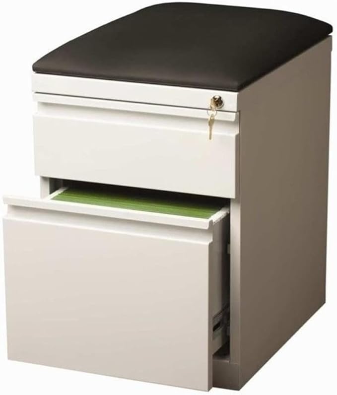 Pemberly Row 2-Drawer Metal Mobile Pedestal Filing Cabinet in White/Black