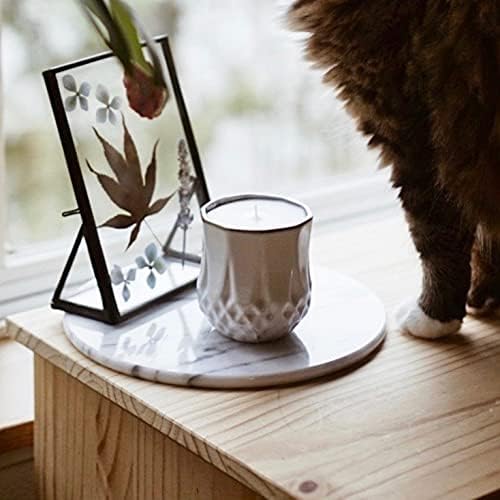 Hyggelight - The Growing Candle, Coffee Scented, 9oz Ceramic Pot, Aromatherapy Candles, 100% Soy, Cream and Espresso Aroma for Home, Astrid