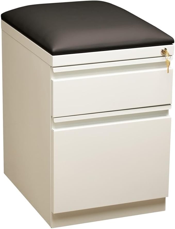 Pemberly Row 2-Drawer Metal Mobile Pedestal Filing Cabinet in White/Black