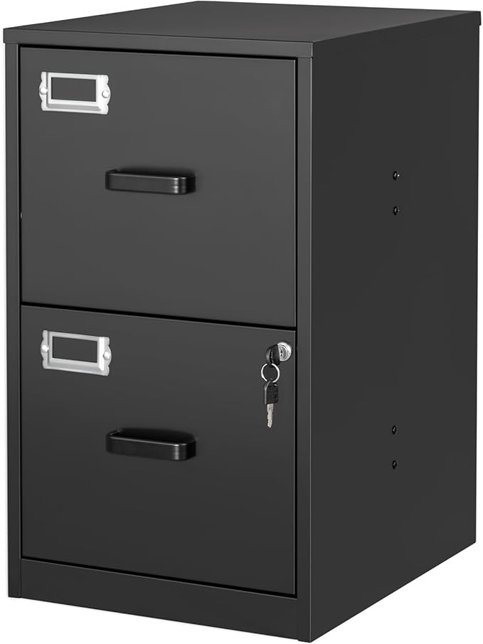 2 Drawer File Cabinet with Lock Vertical Filing Storage Cabinet Office Home Steel Vertical File Cabinets for Letter Size File Cabinet Locked,Assembly Required