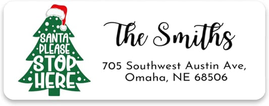 Personalized Christmas Return Address Labels - Custom Holiday Return Address Labels, Set of 120 Self Adhesive Mailing Rectangle Personalized Name Stickers (Pattern 6)