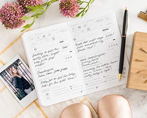 Letterfolk Pregnancy Passport Journal — Pocket-sized Maternity Milestone Book (3.5" W x 5.5" H)