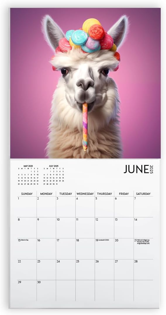 Llama Love Calendar 2025 with Sticker Pack, 12 x 12 inch, Inspiration Quotes, Llama Gift, Llama Wall Calendar and Sticker Set