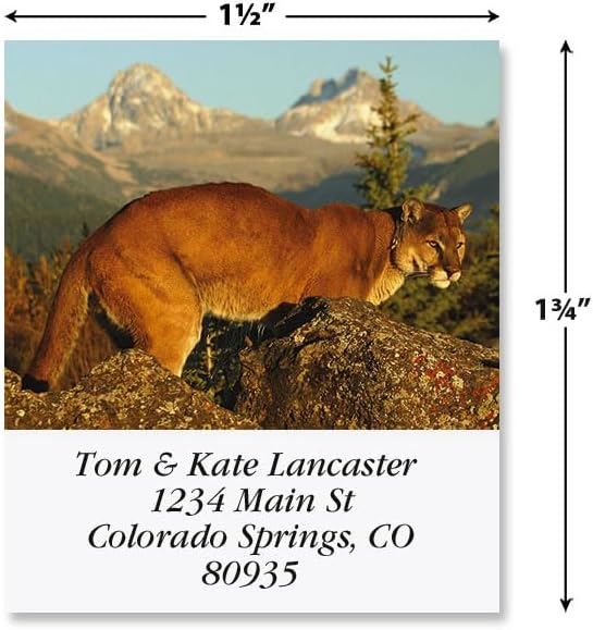 North American Wildlife Square Return Address Labels (12 Designs) - Set of 144 1-1/8" x 2-1/4" Self-Adhesive, Flat-Sheet Label