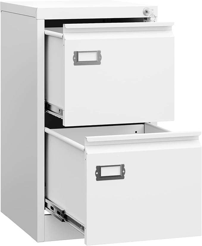 Letaya 2 Drawer File Cabinet with Lock,Metal Office Small Filing Cabinets for Home Office- Storage A4/F4/Letter/Legal -Assembly Required (White)