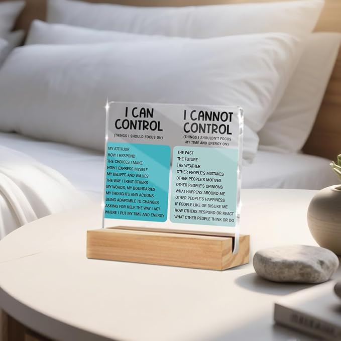 Mental Health Things I Can Control Decor Sign, Motivational Office Acrylic Sign With Wooden Stand, Thank You Gifts for Woman Coworker Nurse Friends Decorative Desk Accessories Table Shelf Decor-2