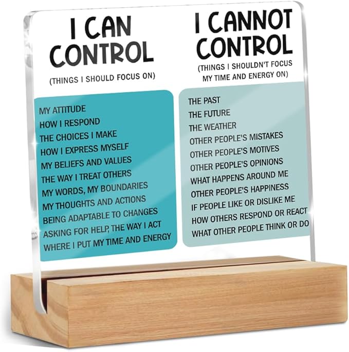 Mental Health Things I Can Control Decor Sign, Motivational Office Acrylic Sign With Wooden Stand, Thank You Gifts for Woman Coworker Nurse Friends Decorative Desk Accessories Table Shelf Decor-2