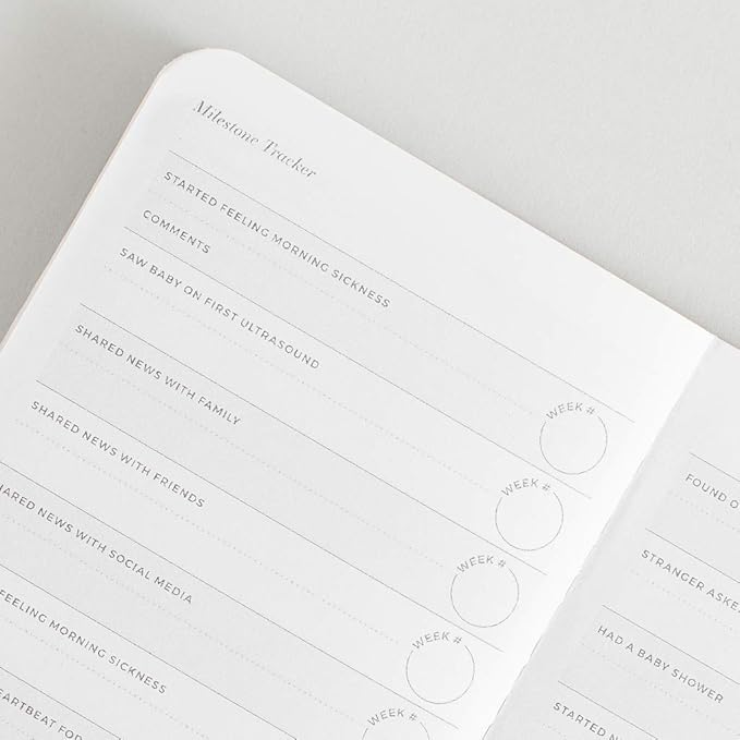 Letterfolk Pregnancy Passport Journal — Pocket-sized Maternity Milestone Book (3.5" W x 5.5" H)