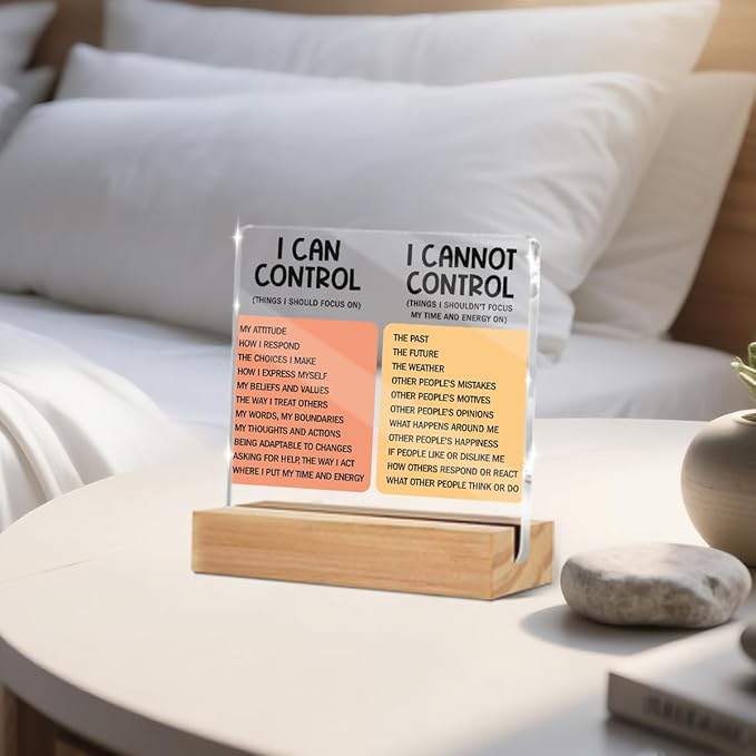 Mental Health Things I Can Control Decor Sign, Motivational Office Acrylic Sign With Wooden Stand, Thank You Gifts for Woman Coworker Nurse Friends Decorative Desk Accessories Table Shelf Decor-1