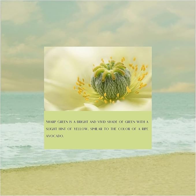 Metronic 300PC Poly Mailers 24x24 Large Shipping Bags for Clothing, Strong Adhensive Mailers Bags for Small Business, Shipping Envelopes, Tear-resistant Mailing Bags in Avocado Green