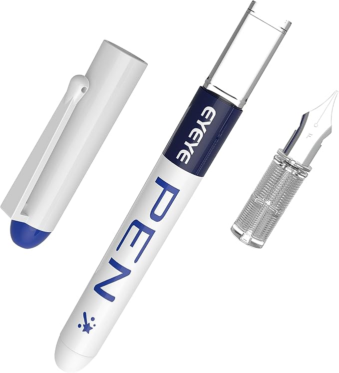 EYEYE Fountain Pens for Writing, 8 Pack Assorted Colors Fine Point Disposable Fountain Pens Stainless Steel Nib, Smooth Writing for Journaling, Drafting, Sketching, Doodling & Gifts