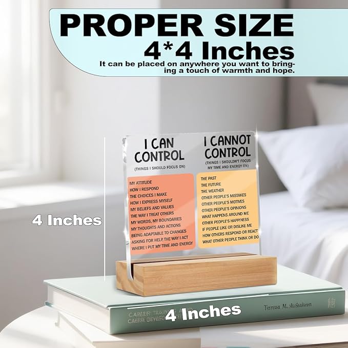 Mental Health Things I Can Control Decor Sign, Motivational Office Acrylic Sign With Wooden Stand, Thank You Gifts for Woman Coworker Nurse Friends Decorative Desk Accessories Table Shelf Decor-1