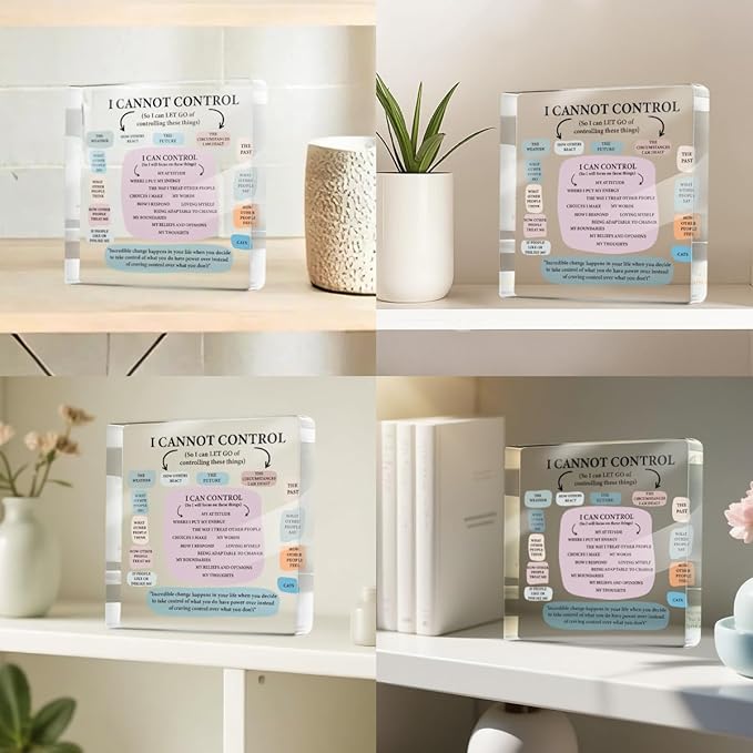 Mental Health Therapist Office Desk Decor Clear Acrylic Sign, Inspirational Gifts for Women Men Friends, Therapist Office Art Decoration for Desk Gadgets Tabletop Cubicle, Things I Can Control