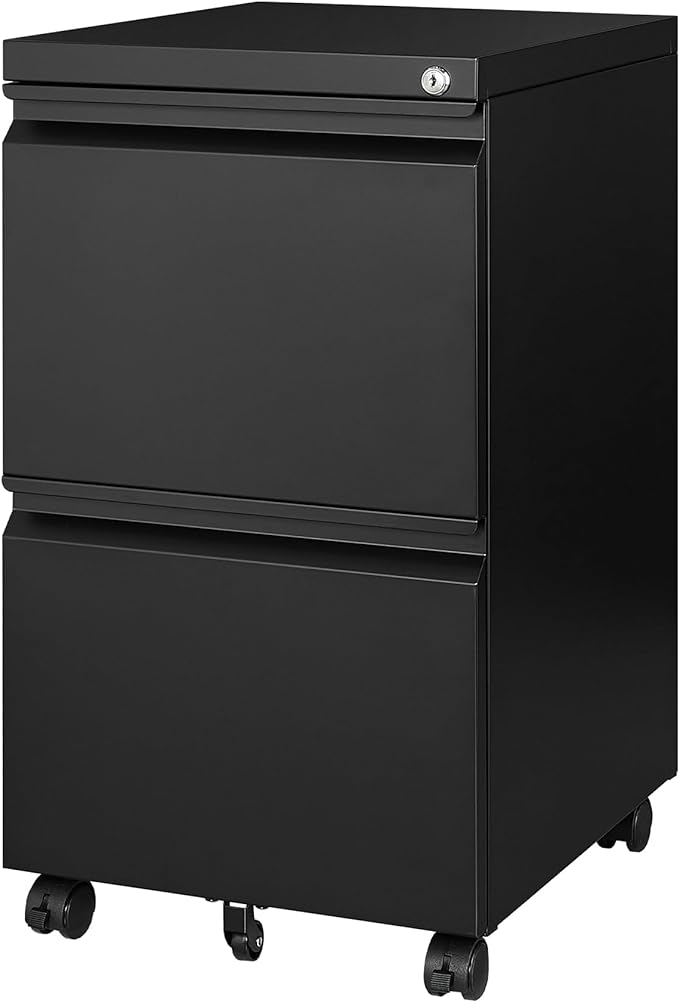 Mobile File Cabinet with Lock - 2 Drawer, Small Rolling Cabinet for Home Office, Legal/Letter/A4 (Black)