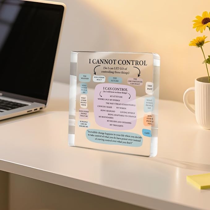 Mental Health Therapist Office Desk Decor Clear Acrylic Sign, Inspirational Gifts for Women Men Friends, Therapist Office Art Decoration for Desk Gadgets Tabletop Cubicle, Things I Can Control