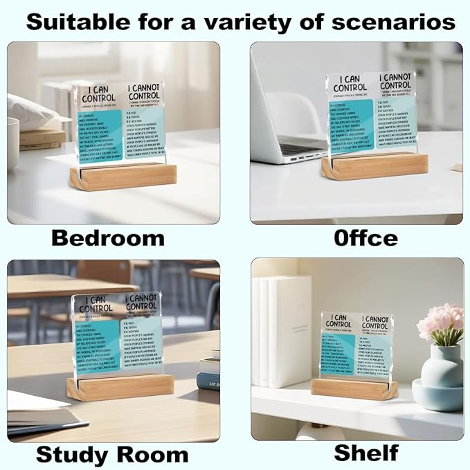Mental Health Things I Can Control Decor Sign, Motivational Office Acrylic Sign With Wooden Stand, Thank You Gifts for Woman Coworker Nurse Friends Decorative Desk Accessories Table Shelf Decor-2