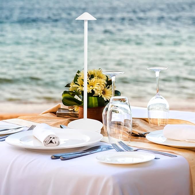 Cordless Table Lamp 2 Pack, Portable Led Desk Lamp 6000mAh Battery Operated Table Lamp, Mordern Rechargeable Night Light in Aluminum, Dimmable Table Light for Indoor Outdoor