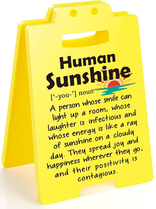 MBL Appreciation Sunshine Gifts Coworker - Human Sunshine Desk Sign, Thoughtful Thank You Gifts for Women Boss Lady Teacher Friend Birthday Christmas White Elephant, Office Cubicle Decor Sign