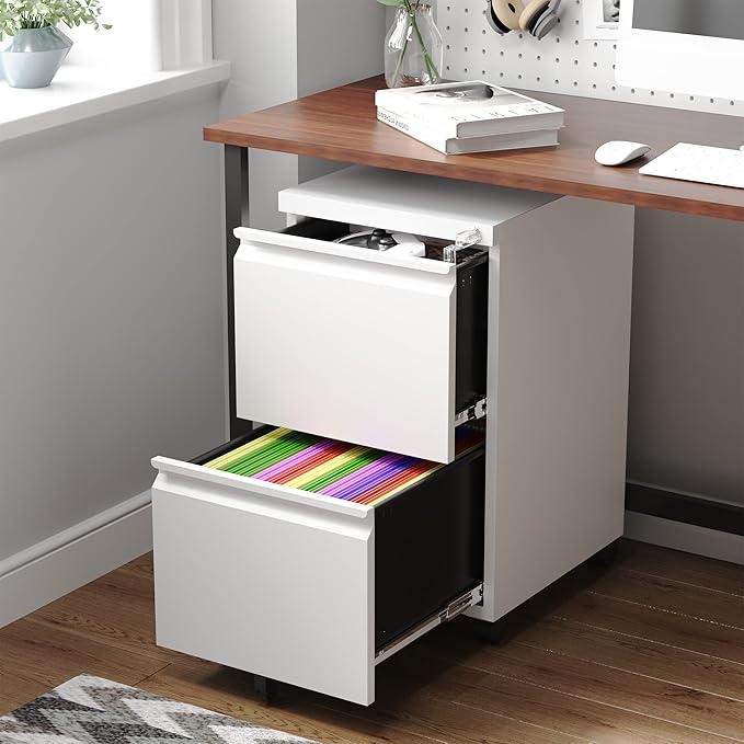 Letaya 2 Drawer Mobile File Cabinet with Lock,Under Desk Metal Filing Cabinets for Home Office Organizer Letters/Legal/A4(Fully Assembled-White)