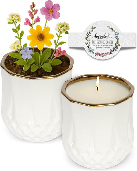 Hyggelight - The Growing Candle, Rosemary & Sage Scent, 9oz Ceramic Pot, Single Wick Aromatherapy Candles, 100% Soy for Women and Men, Astrid