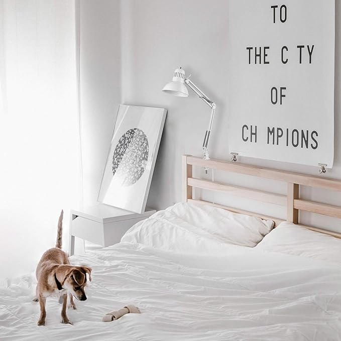 GLOBE Electric 52847 31.5 Inch Swing Arm Clamp-On White Desk Lamp with Nickel Accents, On/Off Rotary Switch, Book Reading Light, Home Essentials, Office Décor, LED Bulb Compatible (Pack of 6)