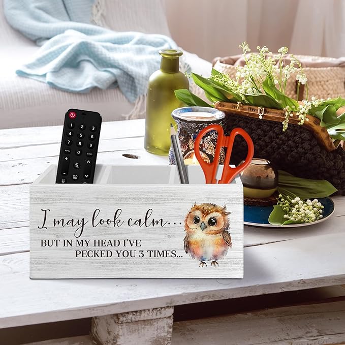 Owl Funny Pen Pencil Holder Organizer for Desk Accessories, I May Look Calm Funny Wooden Box Sign Desk Decor for Home Office Decoration, Owl Lovers Gifts for Women
