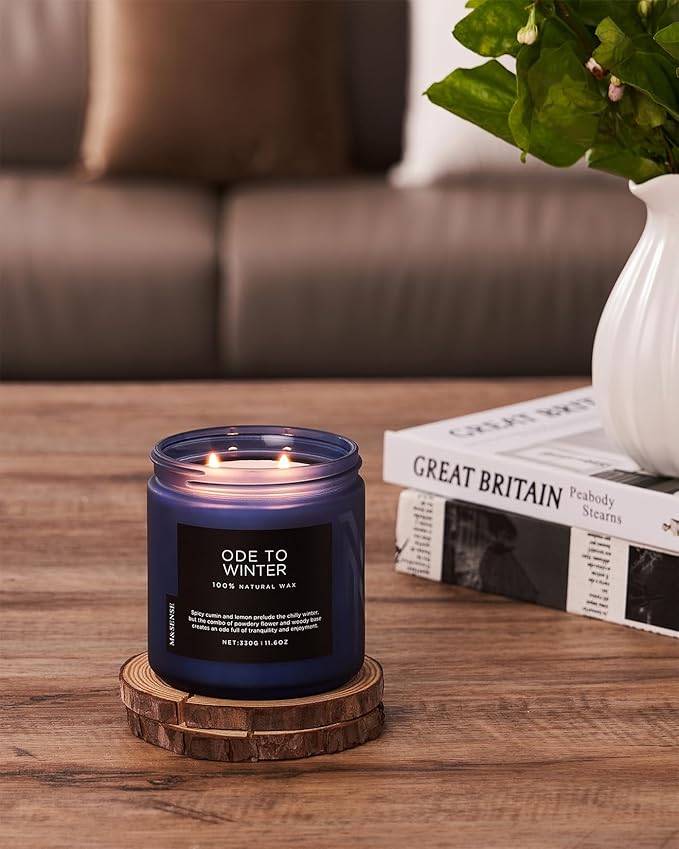 M&SENSE Ode to Winter 11.6oz Natural Soy Wax Non Toxic Candle, Up to 70 Hours Burn Time Winter Scents, 2 Cotton Wick Jar Candle Home Scented Gift