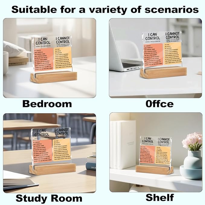Mental Health Things I Can Control Decor Sign, Motivational Office Acrylic Sign With Wooden Stand, Thank You Gifts for Woman Coworker Nurse Friends Decorative Desk Accessories Table Shelf Decor-1