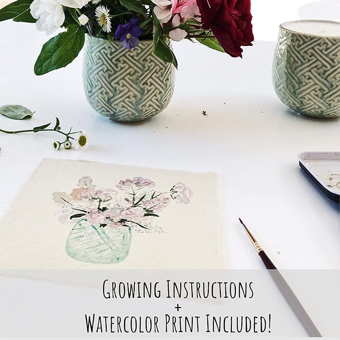 Hyggelight - The Growing Candle, Mint & Eucalyptus Scented, 10oz Ceramic Pot, Aromatherapy Candles, 100% Soy, Ida