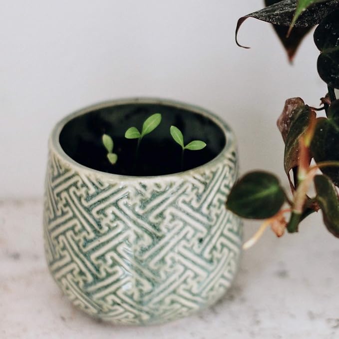 Hyggelight - The Growing Candle, Mint & Eucalyptus Scented, 10oz Ceramic Pot, Aromatherapy Candles, 100% Soy, Ida