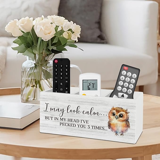 Owl Funny Pen Pencil Holder Organizer for Desk Accessories, I May Look Calm Funny Wooden Box Sign Desk Decor for Home Office Decoration, Owl Lovers Gifts for Women