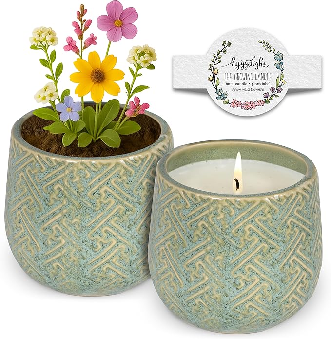 Hyggelight - The Growing Candle, Mint & Eucalyptus Scented, 10oz Ceramic Pot, Aromatherapy Candles, 100% Soy, Ida