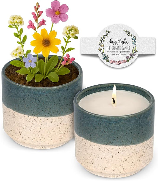 Hyggelight - The Growing Candle, Chai Scented, 8.5oz Ceramic Pot, Aromatherapy Candles for Home, 100% Soy, Willow