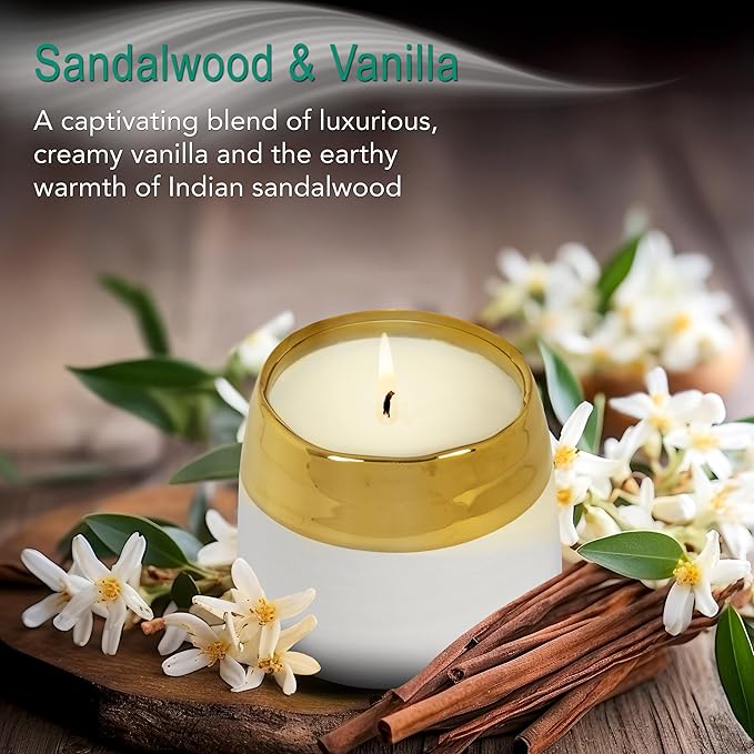 Hyggelight - The Growing Candle, Sandalwood & Vanilla Scented, 10oz Ceramic Pot, Aromatherapy Candles for Home, 100% Soy, Clara