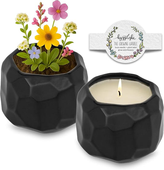 Hyggelight - The Growing Candle, Sandalwood & Vanilla Scented, 13oz Ceramic Pot, Aromatherapy Candles for Home, 100% Soy, Emma