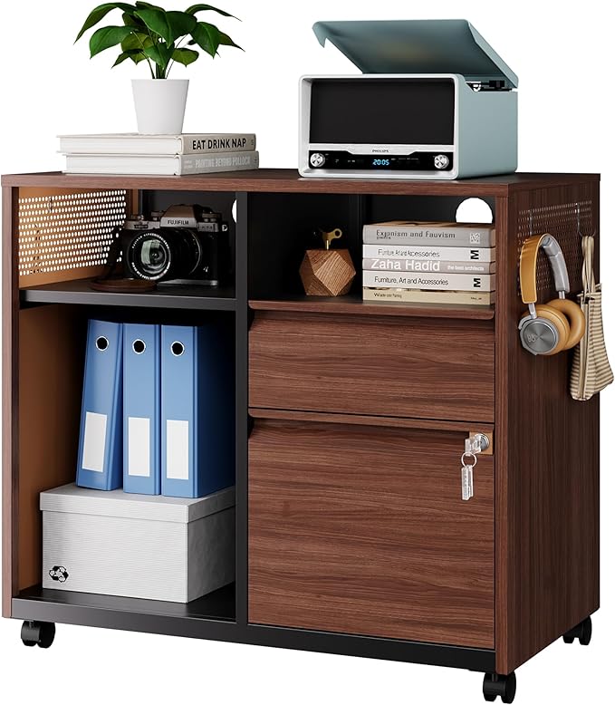Letaya Mobile 2 Drawer File Cabinet with Lock, Metal Lateral Printer Stand Filing Storage Cabinets with Shelves for Home Office-A4/F4/Letter
