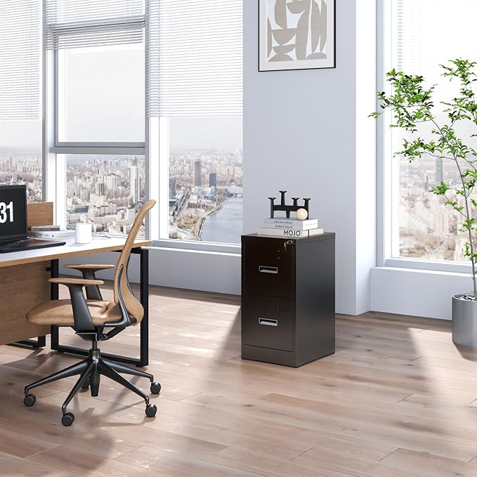 2 Drawer File Cabinets with Lock, Black Vertical Filing Cabinet for Home Office, Heavy Duty Metal Storage Cabinets Office Steel Cabinet for Letter Legal Size Files, Assembly Required