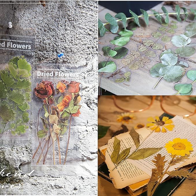MAXLEAF Transparent Waterproof Stickers Set - 48PCS Vintage Plants Flowers Collection Big Size Waterproof Stickers for Decoration Planners Scrapbook Laptops (Dried Flowers)