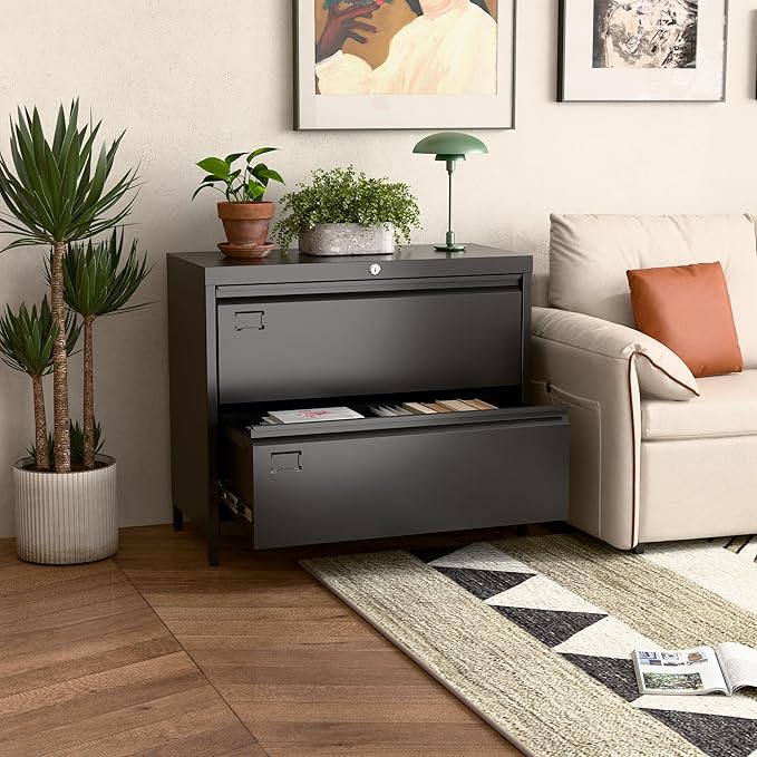 Metal Lateral File Cabinet with 2 Drawer,Metal Filing Cabinets with Lock for Home Office A4 and Letter Size Files, Printer Stand, Assemble Required,Black