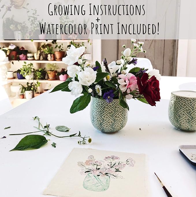 Hyggelight - The Growing Candle, Chai Scented, 10oz Ceramic Pot, Aromatherapy Candles for Home, 100% Soy, Ida