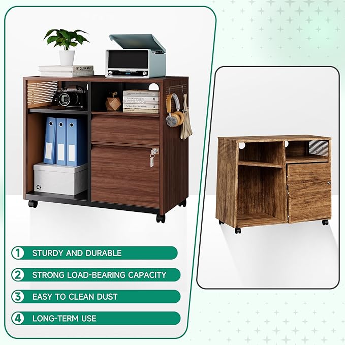 Letaya Mobile 2 Drawer File Cabinet with Lock, Metal Lateral Printer Stand Filing Storage Cabinets with Shelves for Home Office-A4/F4/Letter