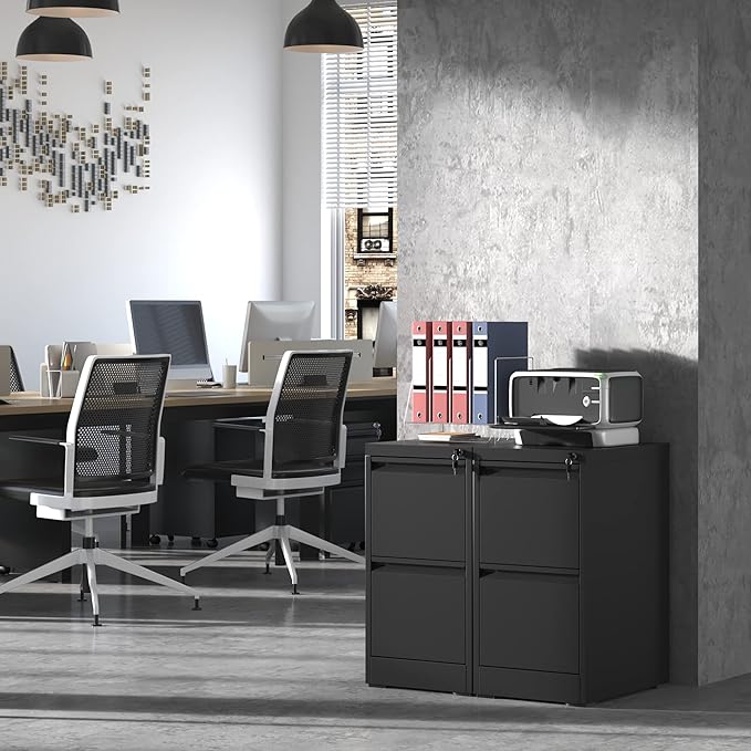 2 Drawer File Cabinet with Lock,Metal Filing Cabinets for Home Office,Steel Vertical File Cabinet,Heavy Duty Metal Storage Cabinet for A4/Letter/Legal Size Files,Assembly Required
